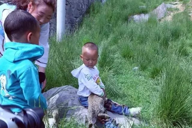 古羌传奇物品代码,古羌传奇70以后去哪里升级