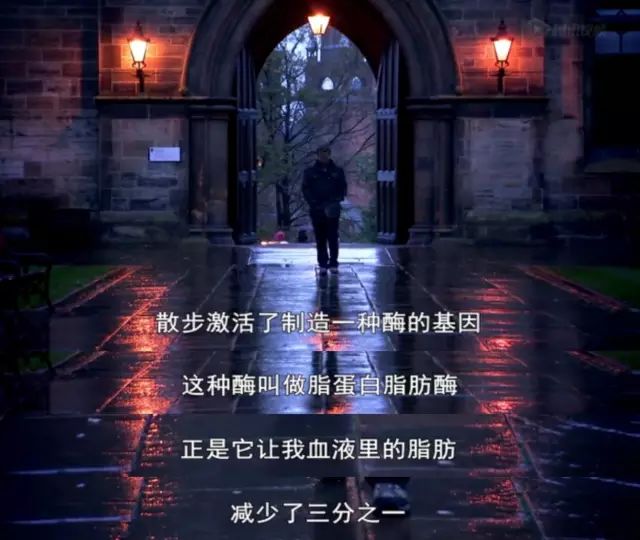 BBC 2016《锻炼的真相!》调查: 彻底颠覆了我们的“常识”