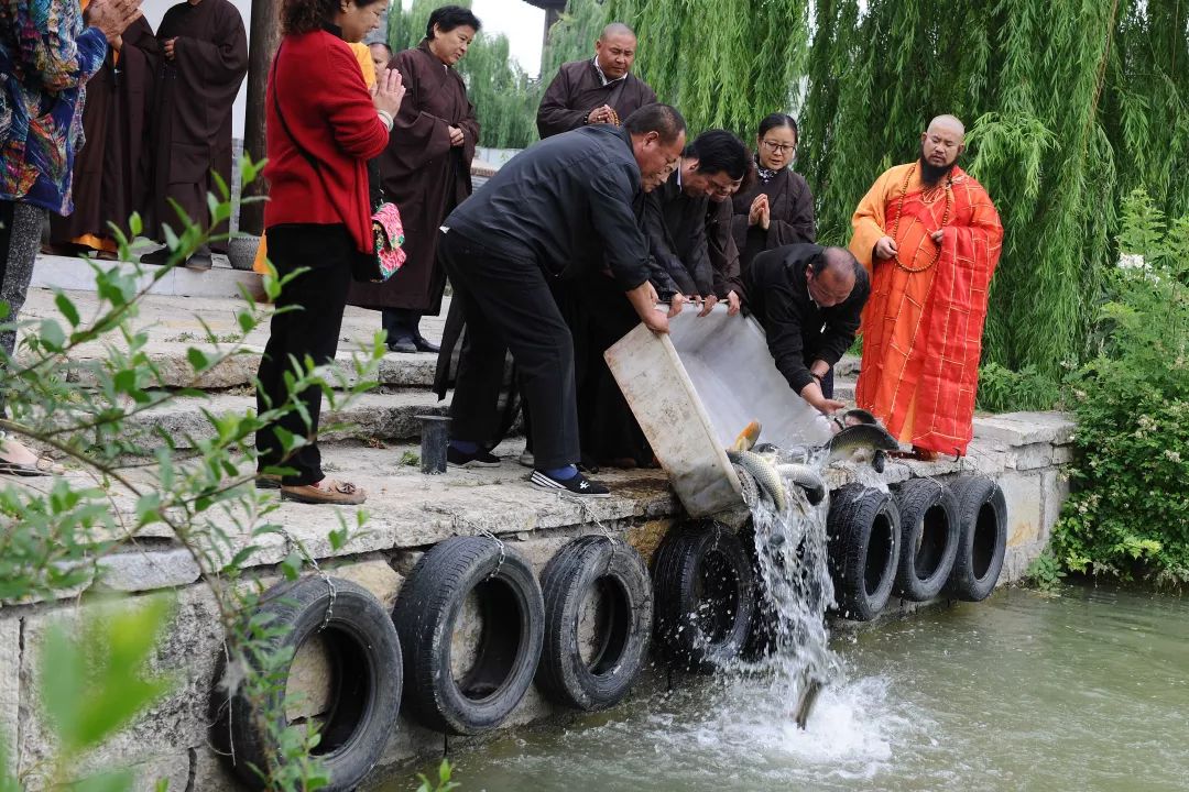 如果是为了积德行善,许愿祈福,那就多花点时间了解一下哪些可以放生