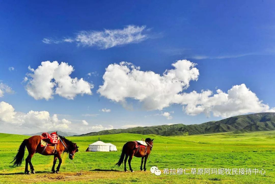 云上草原 天边净土 - 希拉穆仁草原旅游牧民接待中心