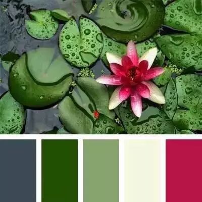 12颜色大全色卡图片_颜色大全色卡图片_绿色颜色大全色卡图片