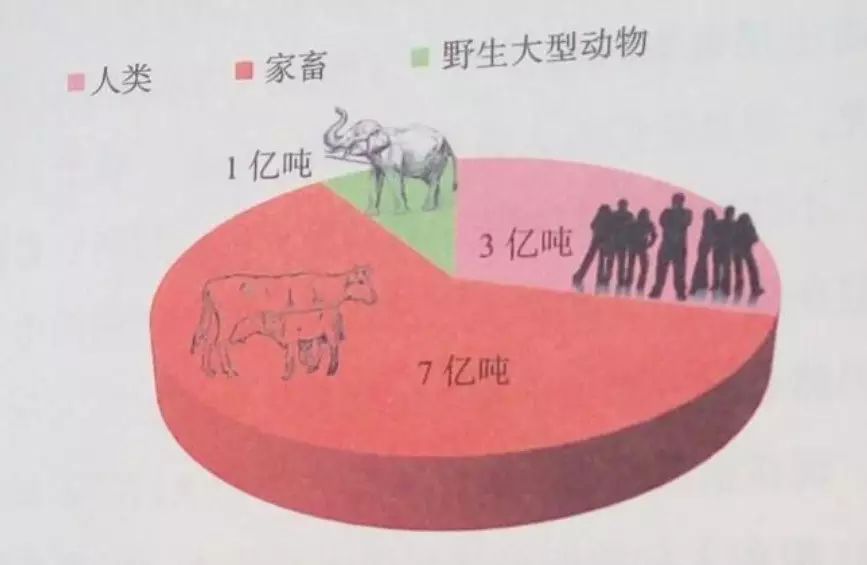 全球大型动物数量饼图