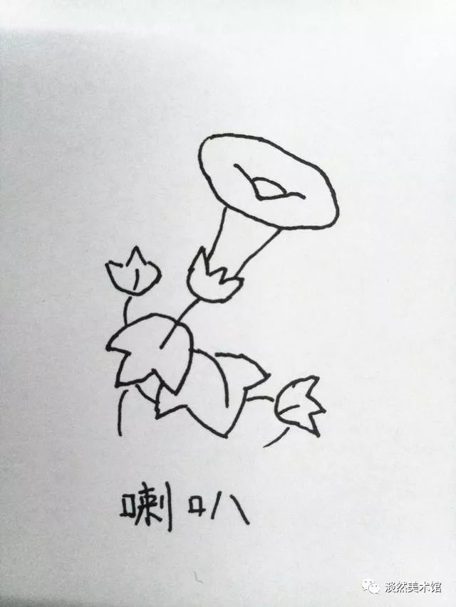 喇叭花,又名牵牛花 朝开夕落每天如此执着而坚持地开花谢花 郁金香是