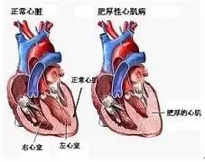 先给自己定个小目标 比如在Nature上发篇文章