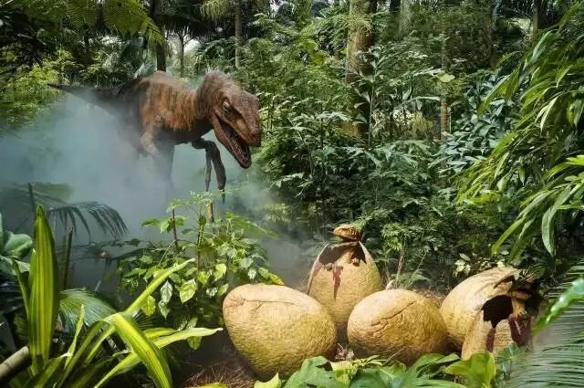 香江野生动物园_野生萌宠国语版_野生萌宝怎么驯服