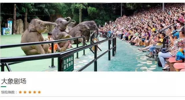 野生萌宠国语版_野生萌宝怎么驯服_香江野生动物园