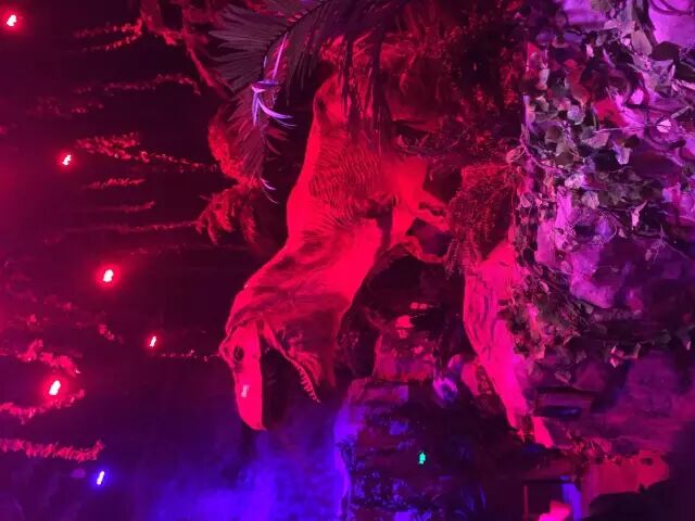 香江野生动物园_野生萌宝怎么驯服_野生萌宠国语版