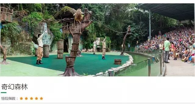 香江野生动物园_野生萌宝怎么驯服_野生萌宠国语版