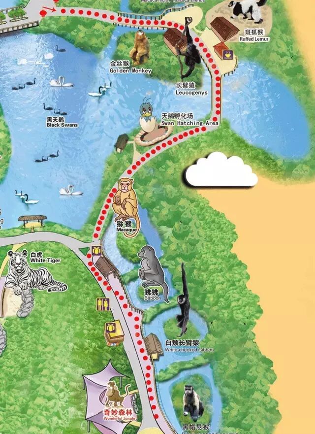 野生萌宝怎么驯服_野生萌宠国语版_香江野生动物园