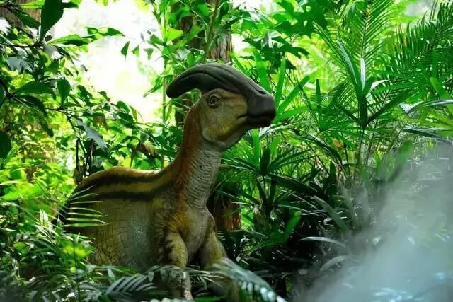 野生萌宝怎么驯服_香江野生动物园_野生萌宠国语版