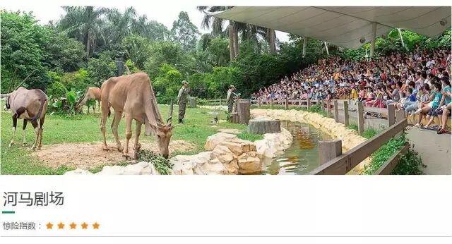 野生萌宝怎么驯服_香江野生动物园_野生萌宠国语版