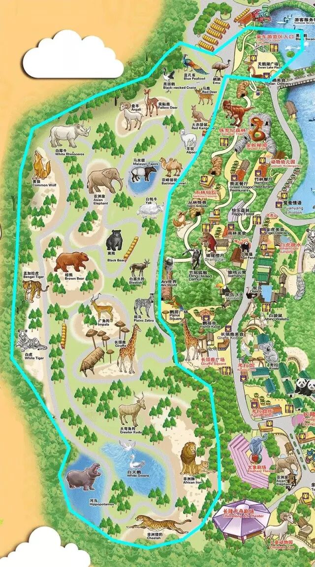 香江野生动物园_野生萌宝怎么驯服_野生萌宠国语版