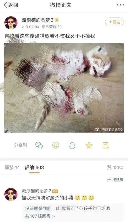 谁在阻止《反虐待动物法》立法？