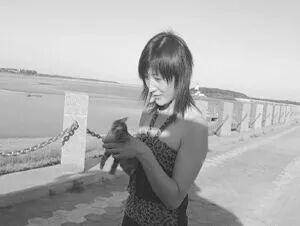 谁在阻止《反虐待动物法》立法？