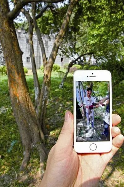 谁在阻止《反虐待动物法》立法？