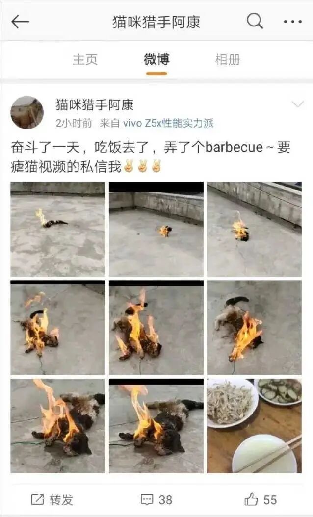 谁在阻止《反虐待动物法》立法？