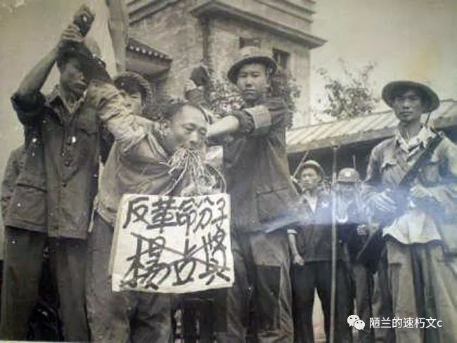 1955年,在编织"胡风反革命集团案"时,夏衍毫不留情地对交往20多年