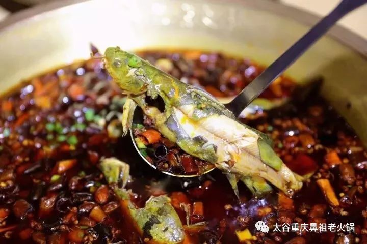 鼻祖火锅必不可少的招牌菜 秘制麻辣嘎鱼