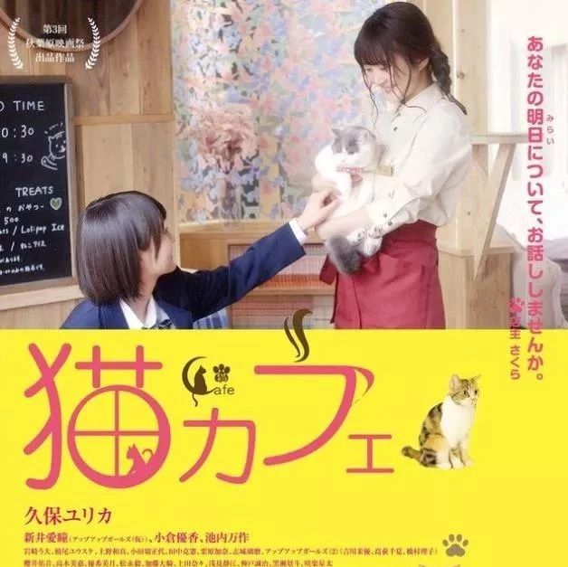 《猫咪咖啡厅》[日本|剧情|2018|1080P|日语中字]