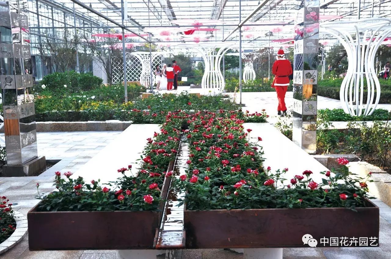 天津龙达幻城仙境农业主题公园场景营造 | 动态
