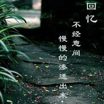 如果回忆有365站,你愿意停在哪一站? ——游鸿明《七月一号》