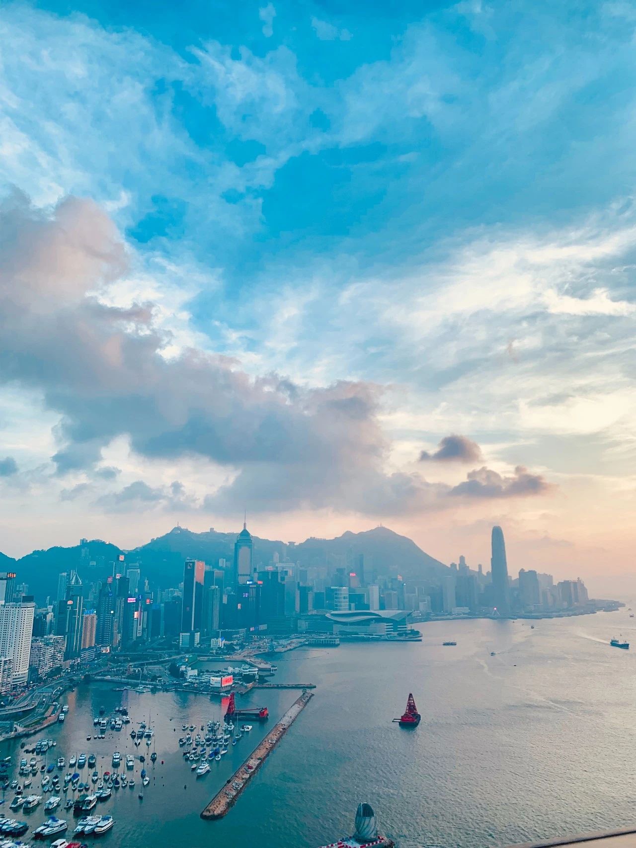 香港移民什么是优才计划？
