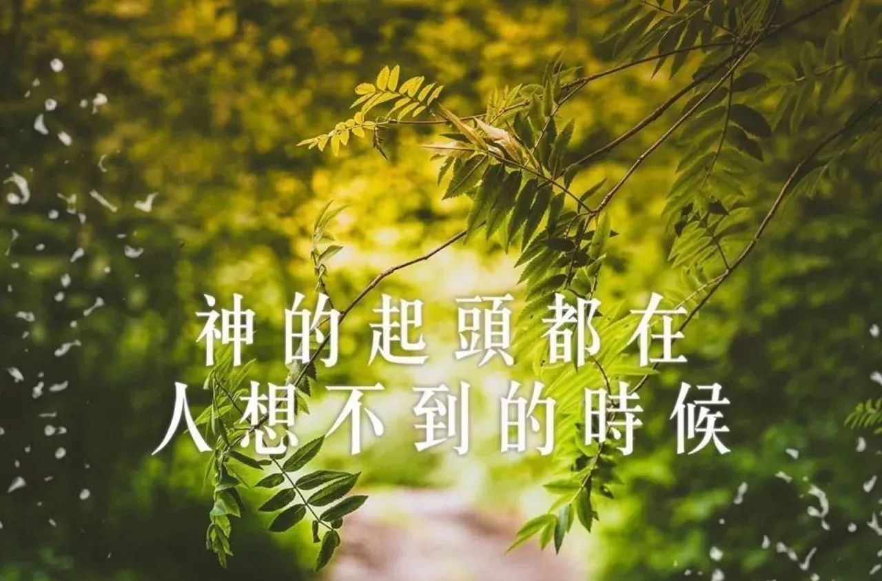 你的基督徒生活健康吗?你爱神超过爱世界吗?