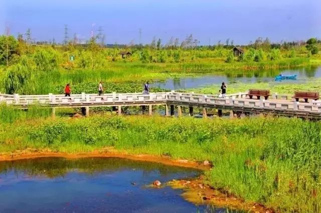 长春市北湖公园要建全国首座古生物湿地博物馆!