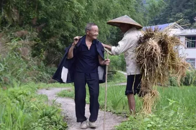 节后,和平农村又只剩下一些老人在地里干活了.