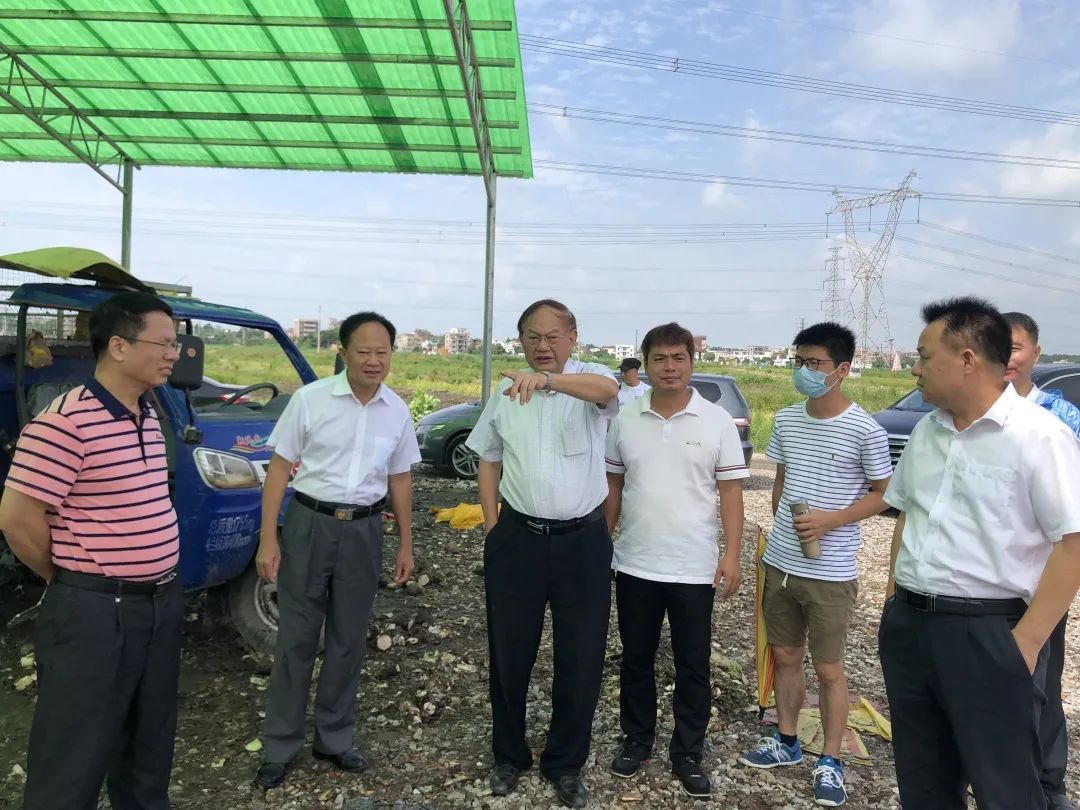 院士,茂名市农业局副局长叶颖邦,茂名市农业科技推广中心主任曾祥友