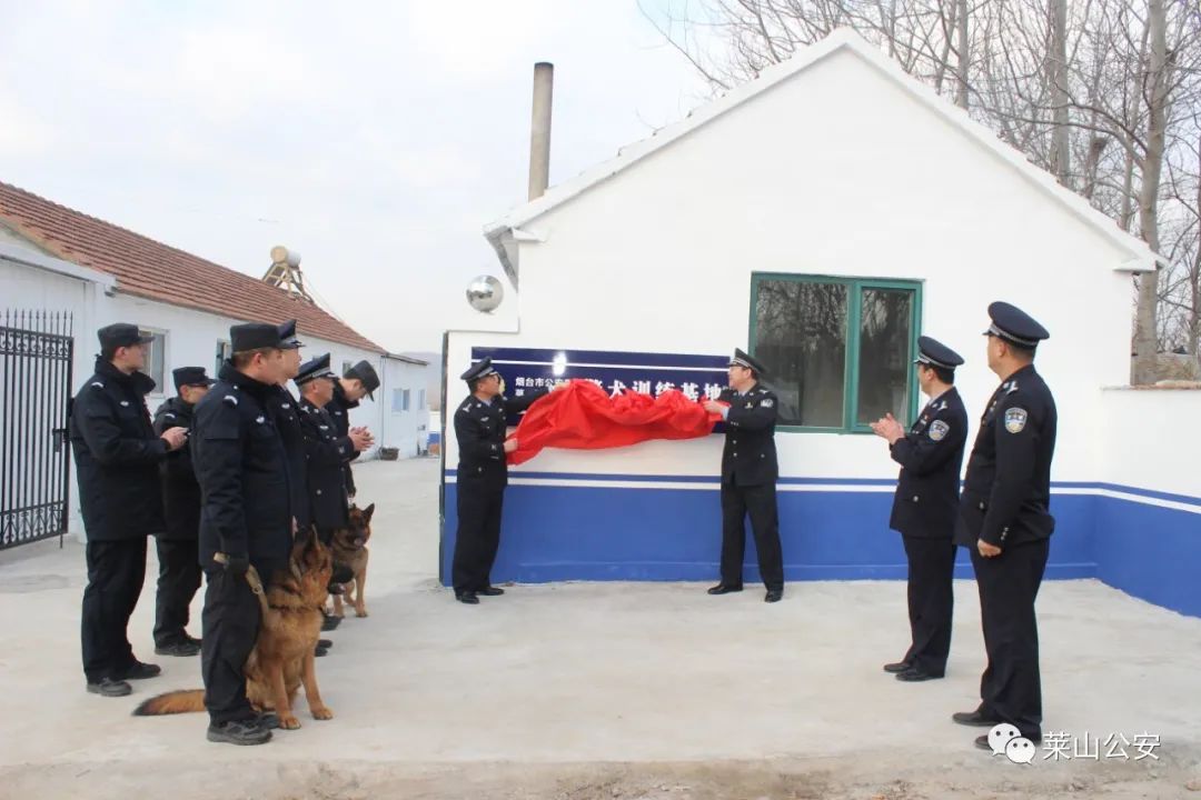 1月28日上午,莱山公安分局举行警犬训练基地揭牌仪式.