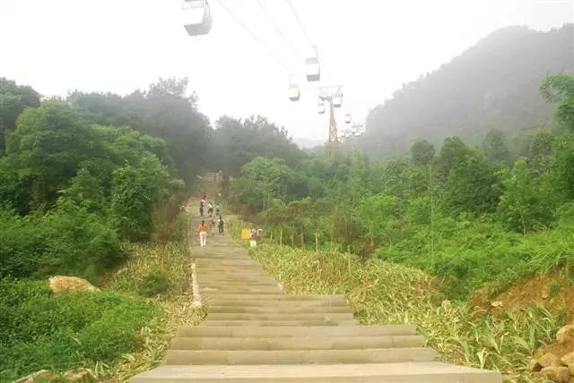 这些年来,沙坪坝区共投资了300余万元,在歌乐山打造6条健身登山道