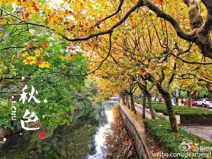 上海外国语学校大学教风的学风发言稿初中关于图片