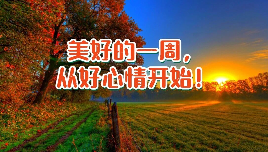 美好的一周，从好心情开始！