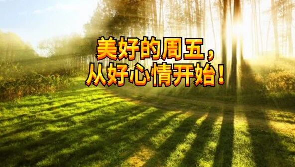 美好的周五，从好心情开始！