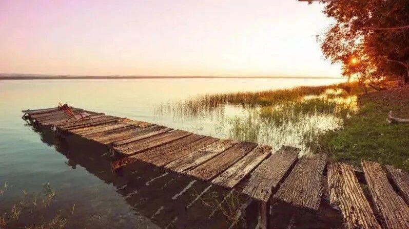 美丽的星期四，早安！