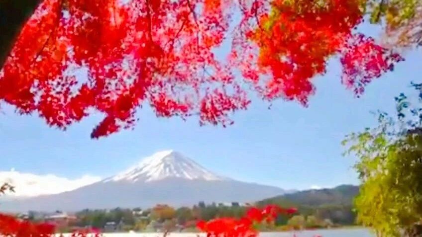 美好的一天，真诚的祝福！