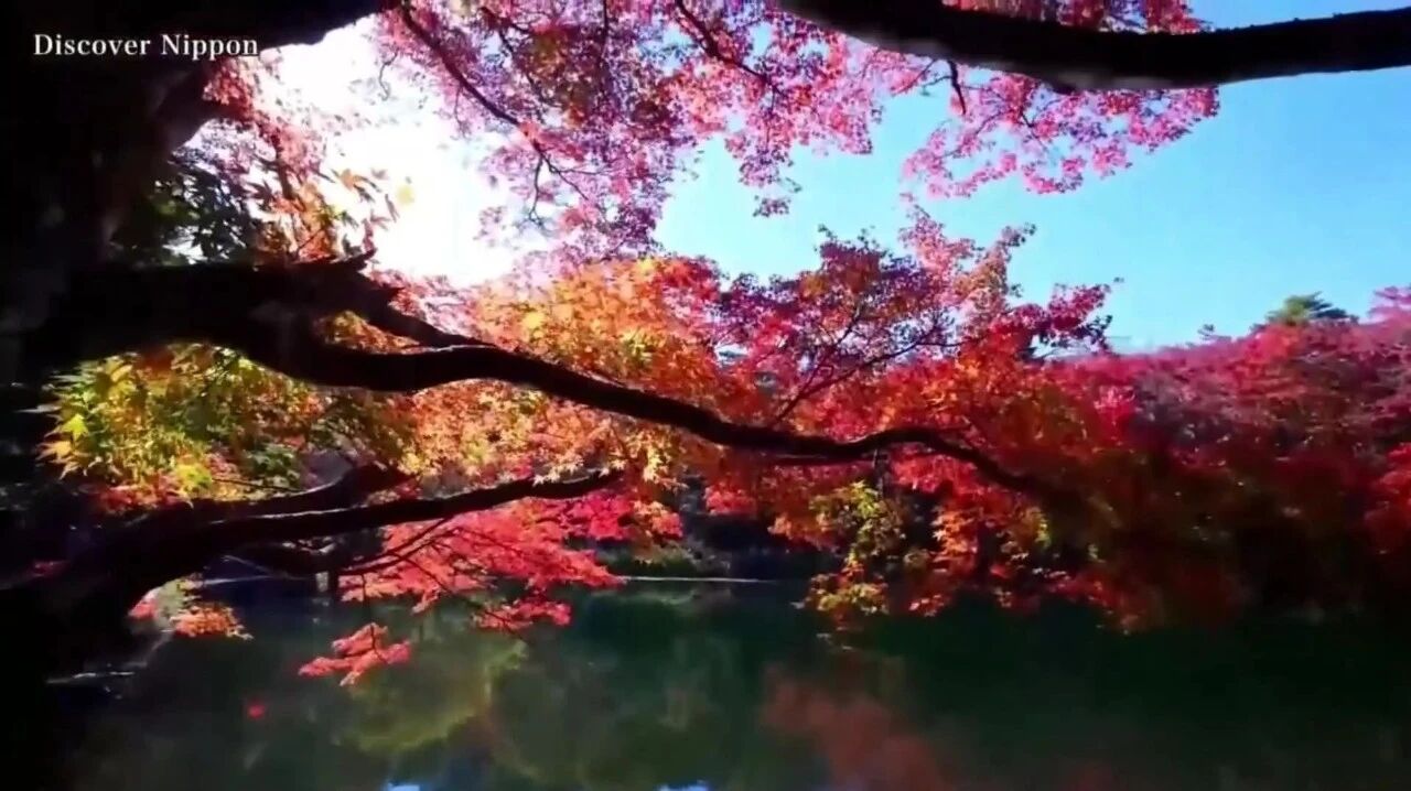 大疫三年，全剧终！