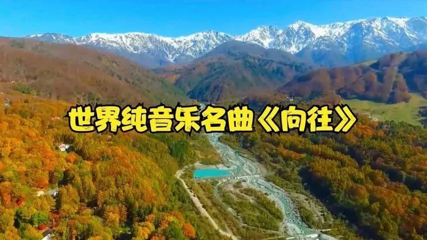 《向往》⭐大年初六，送大家六个顺！