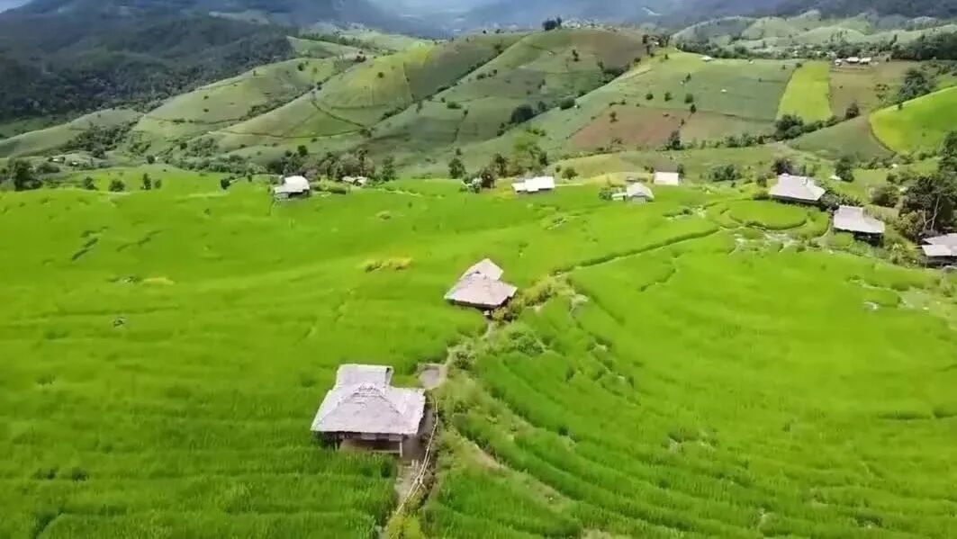 收录于合集⭐周五，祝福！