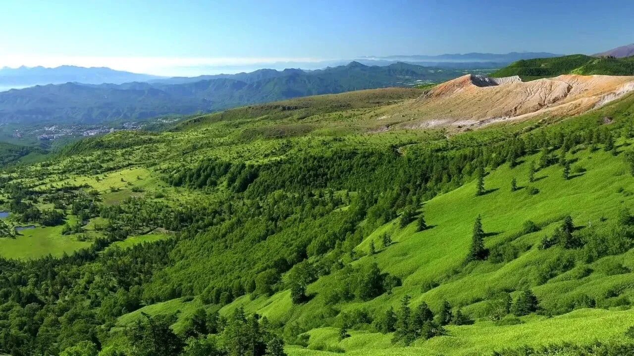 收录于合集⭐周三，祝福！