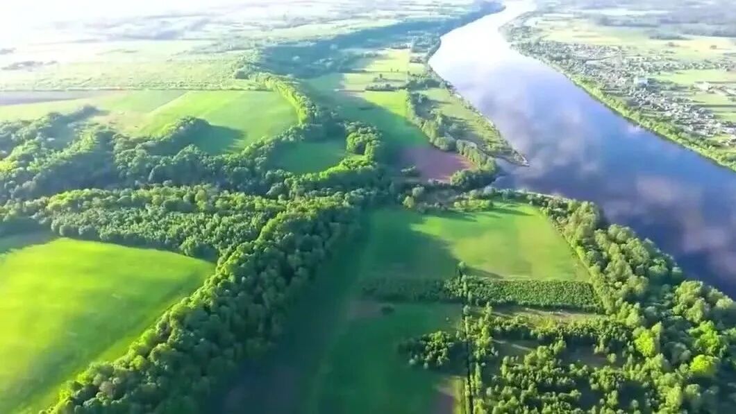 雅尼《心兰相随》⭐早安 心语