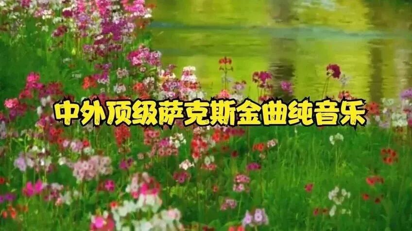 收录于合集⭐周日，祝福！