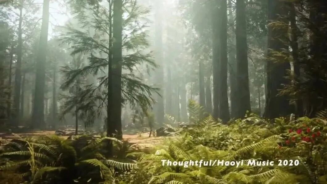 《Thoughtful 体贴》⭐祝福问候，芬芳灿烂！