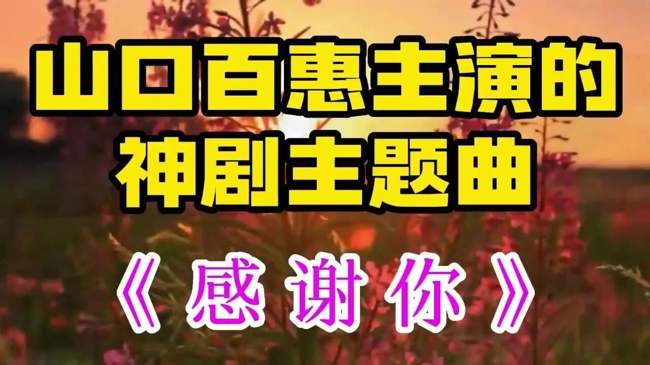 山口百惠《谢谢你》⭐早安 心语