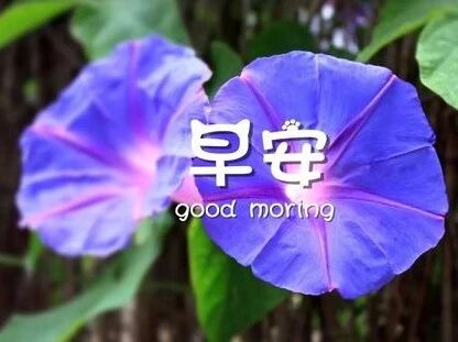 美好的一周，从好心情开始！