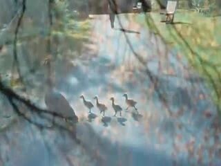 美好的一周，从清晨问候开始！