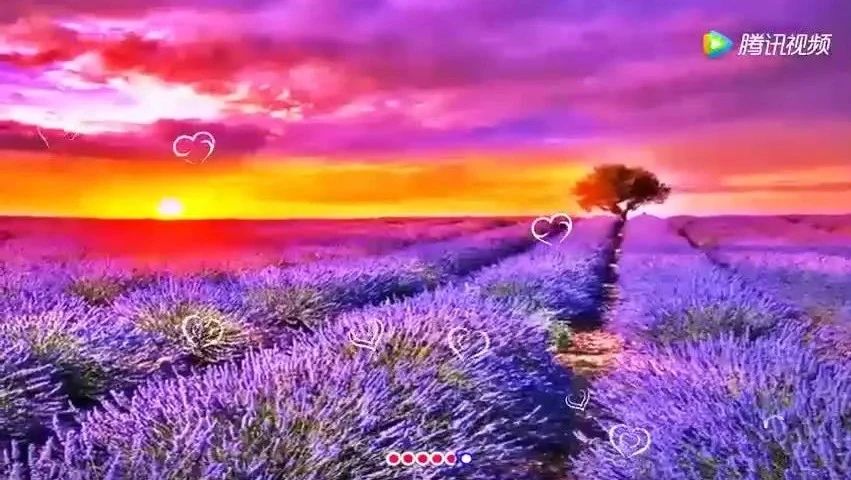 美丽的星期一，早安！