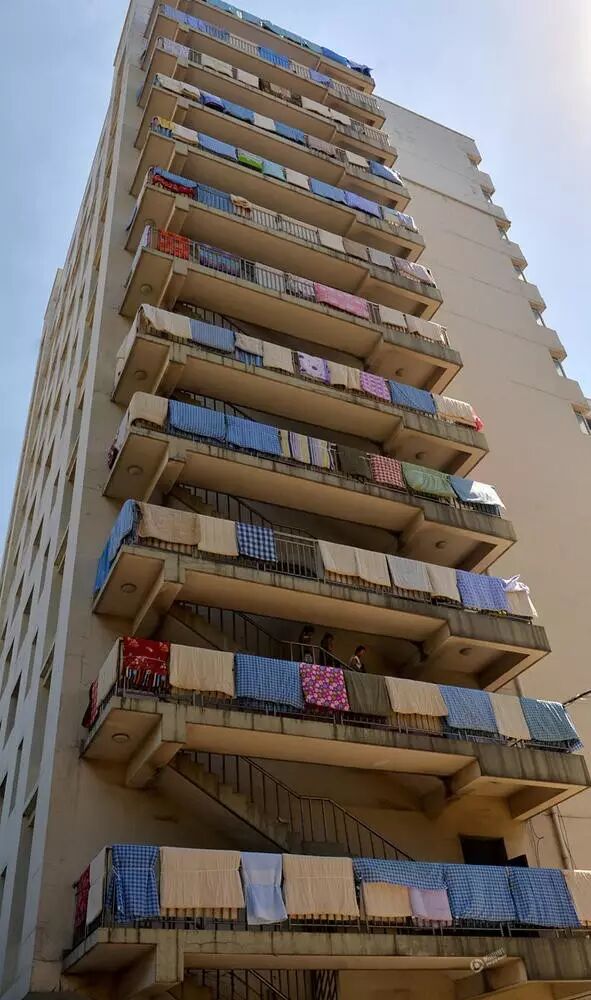 天下事儿丨①“怀孕”南瓜肚里长满芽 ②女孩大学通知书失踪 竟被同学家长捡走后撕毁③江西86岁老奶奶网上卖鸭蛋月入十几万-怀孕期