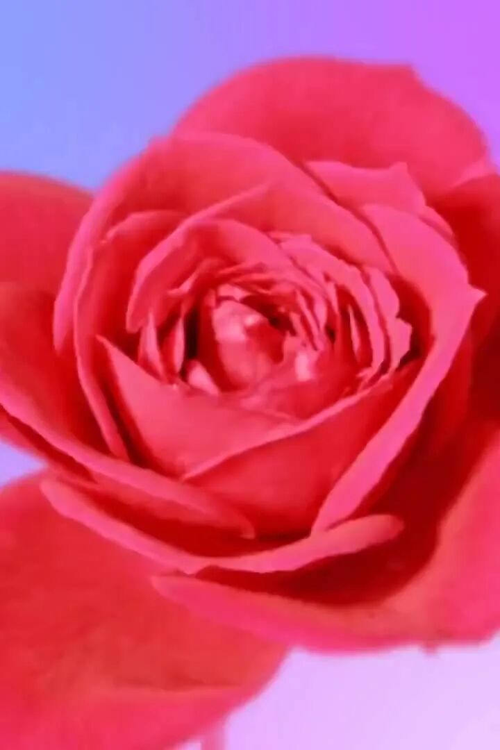 不用打字就可以聊天的图片【下】